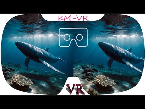 3D VR Immersive Experience